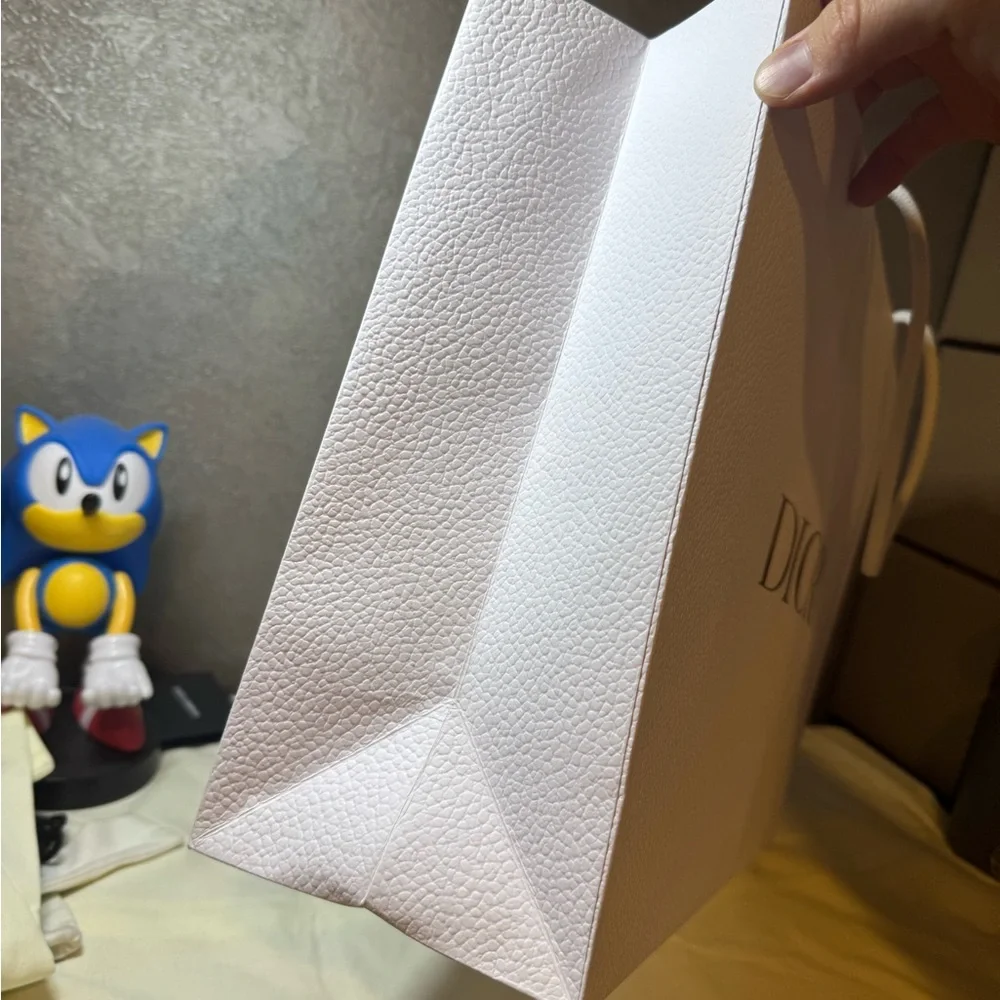 Dior gift bag